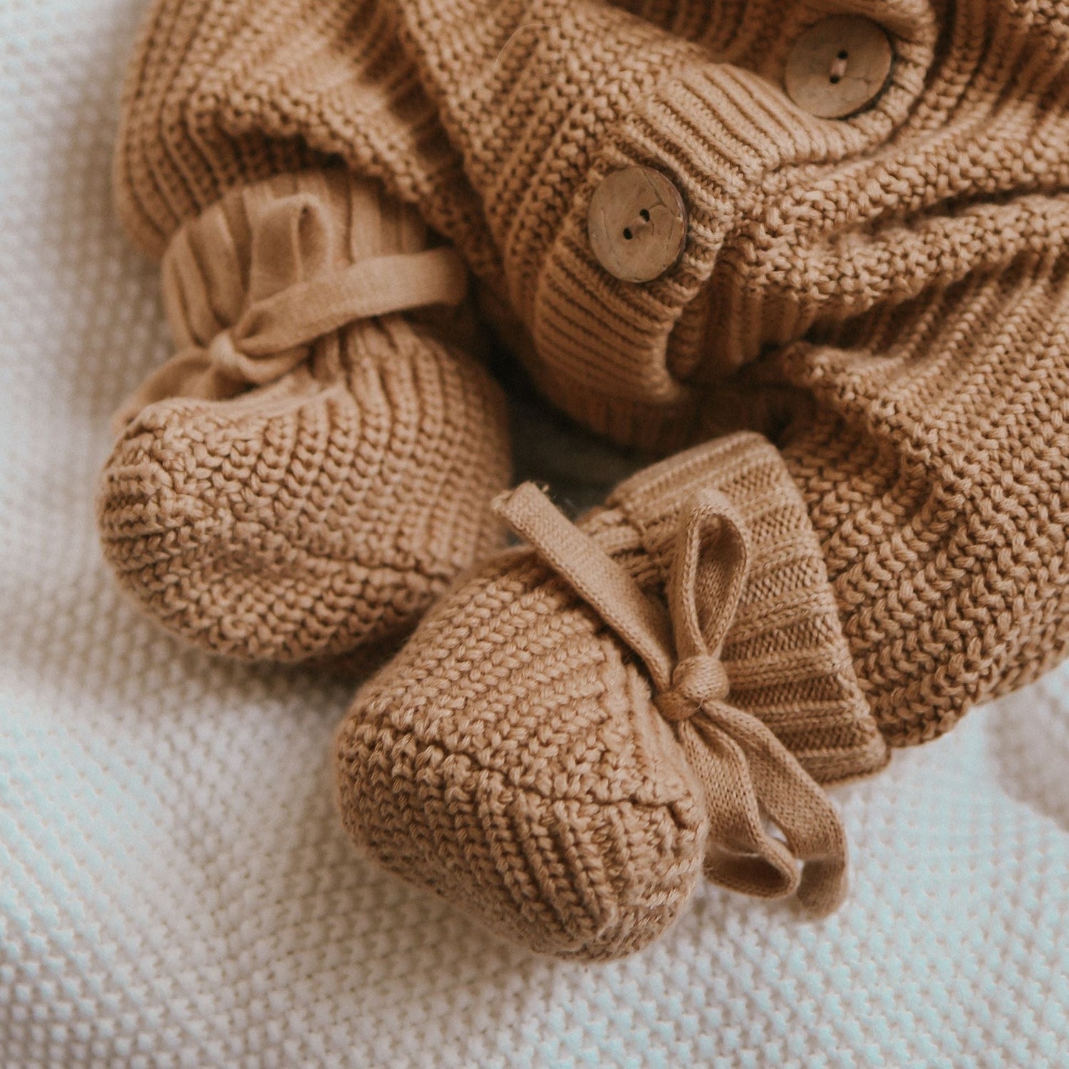Baby Bear Bundle